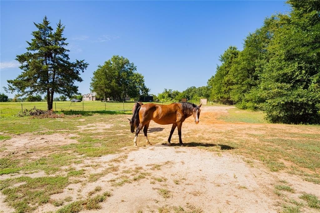 11.64 acres in Titus County - photo 39