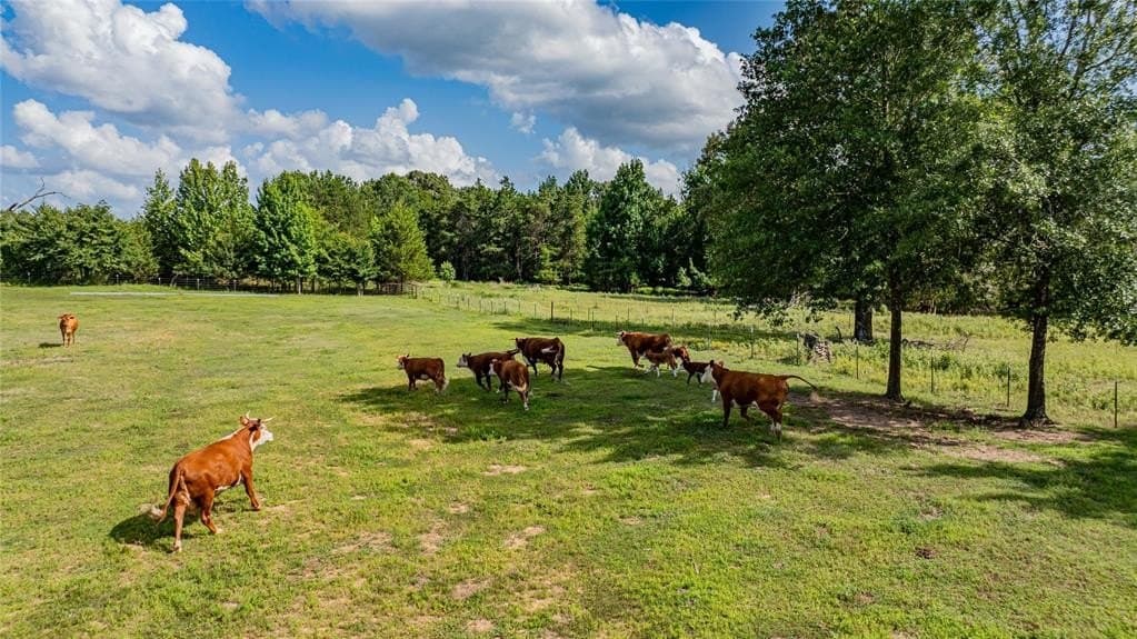 11.64 acres in Titus County - photo 40