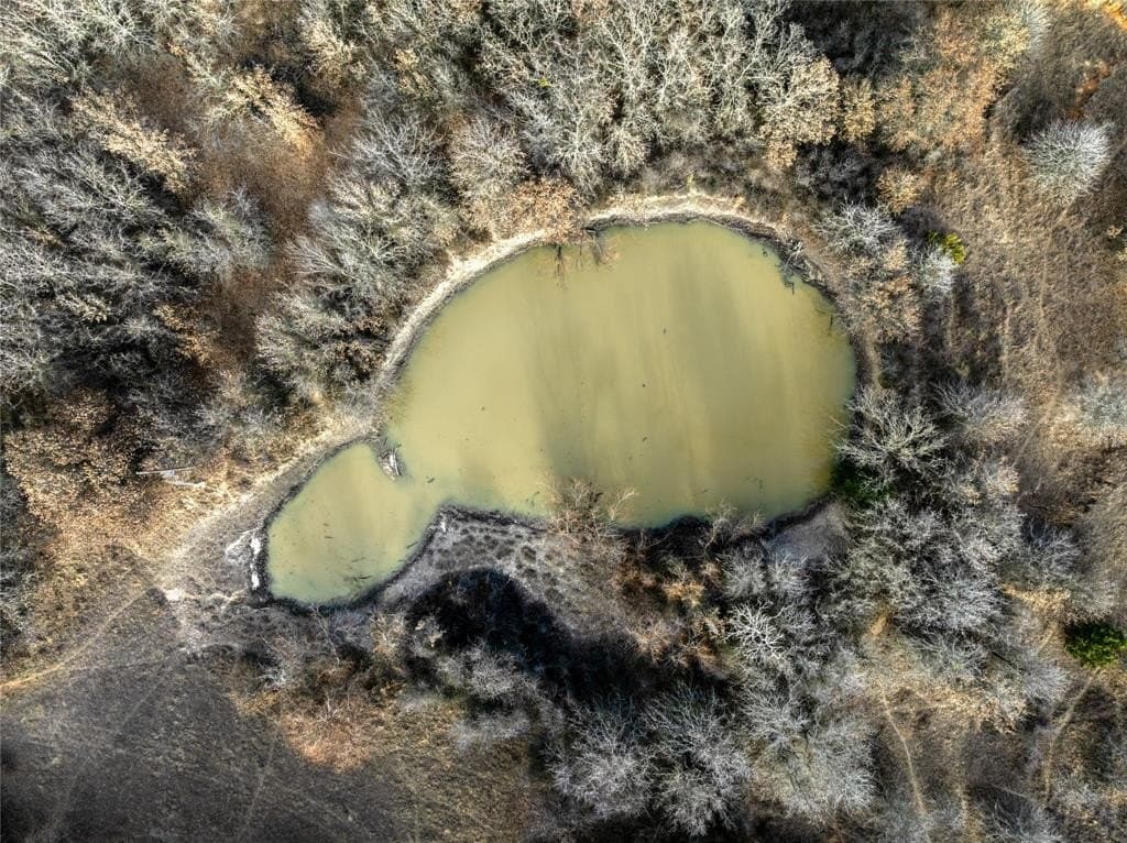 36 acres in Parker County - photo 10