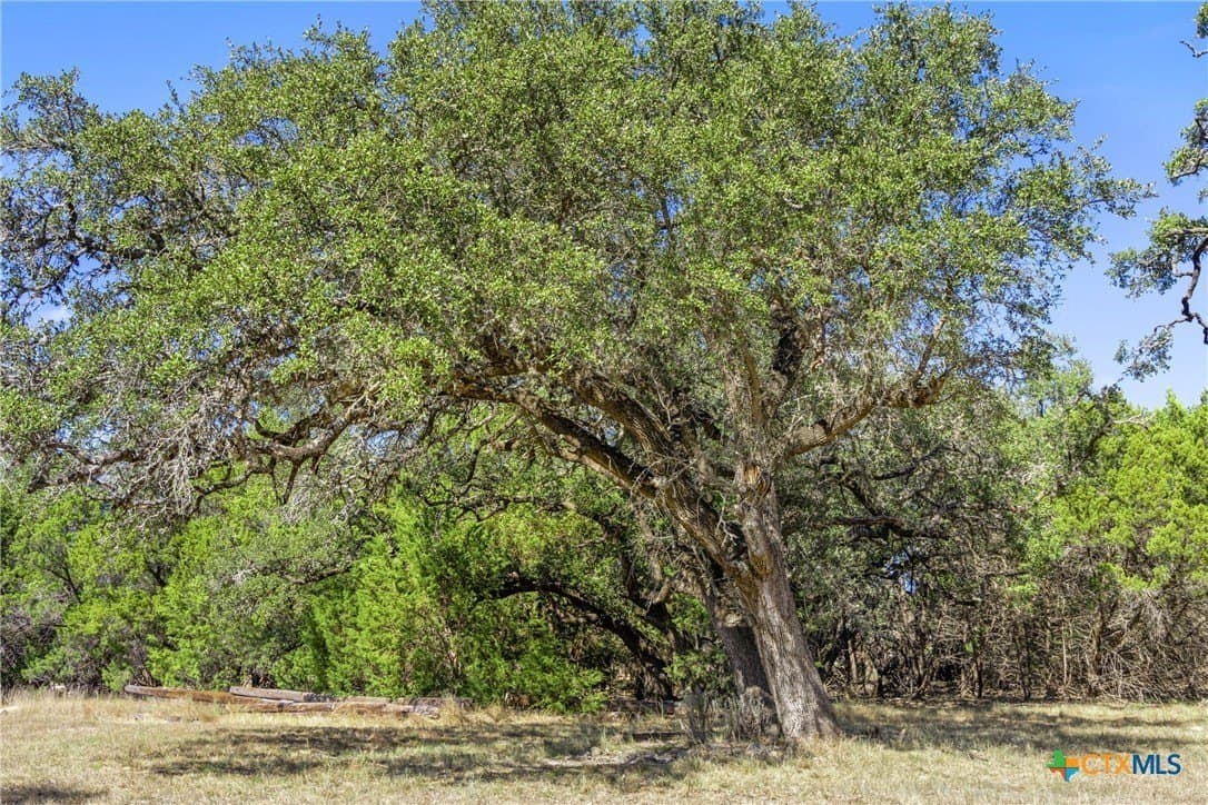 20.58 acres in Comal County - photo 28