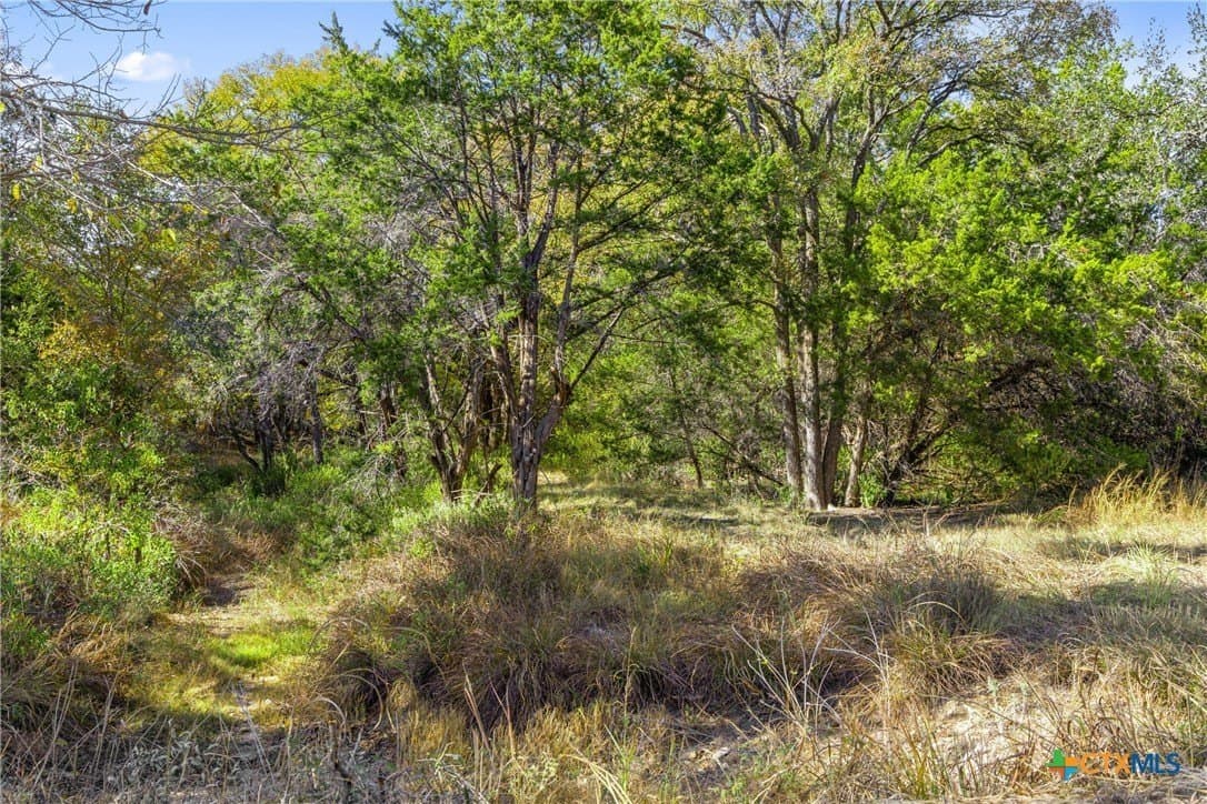 20.58 acres in Comal County - photo 30