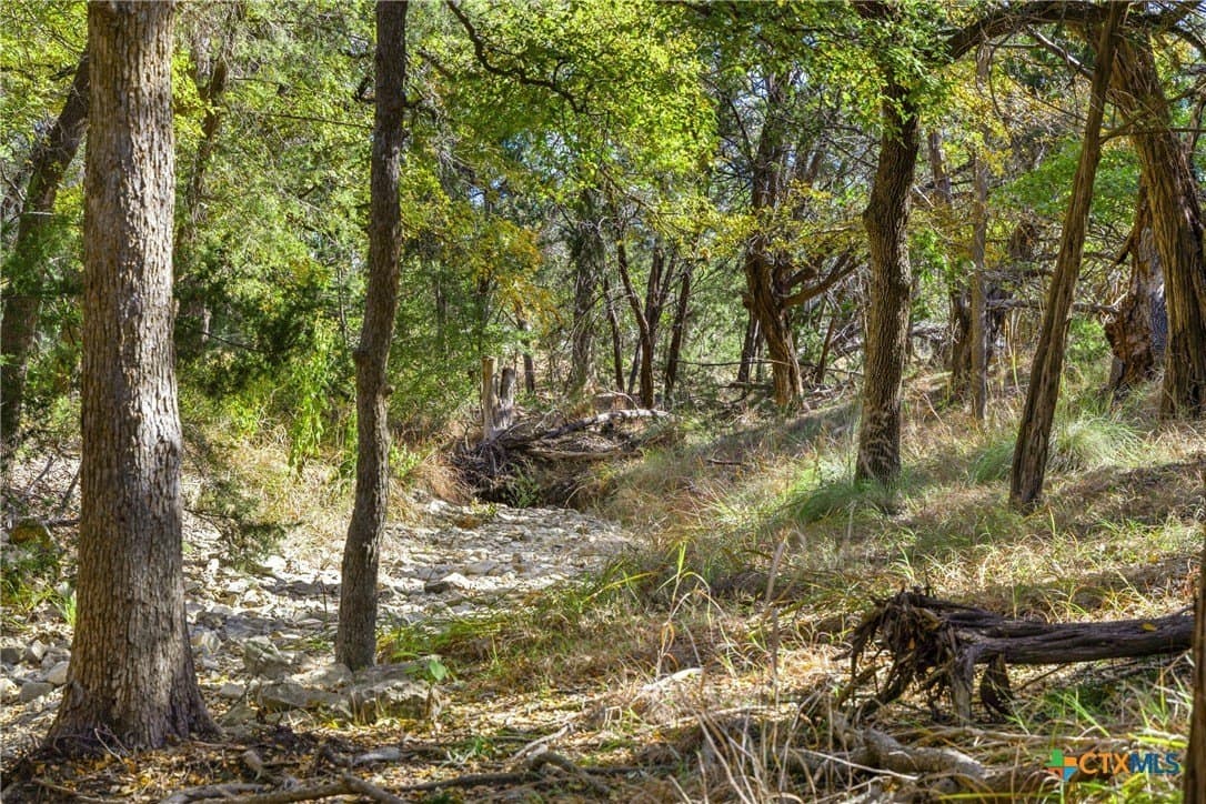 20.58 acres in Comal County - photo 4