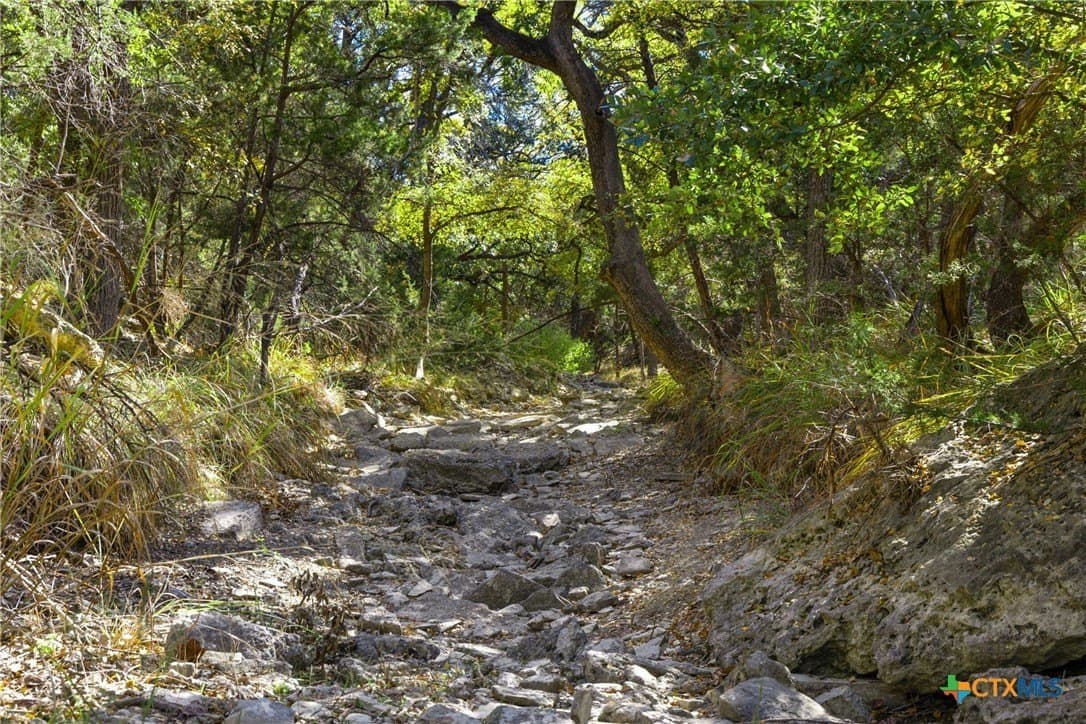 20.58 acres in Comal County - photo 29