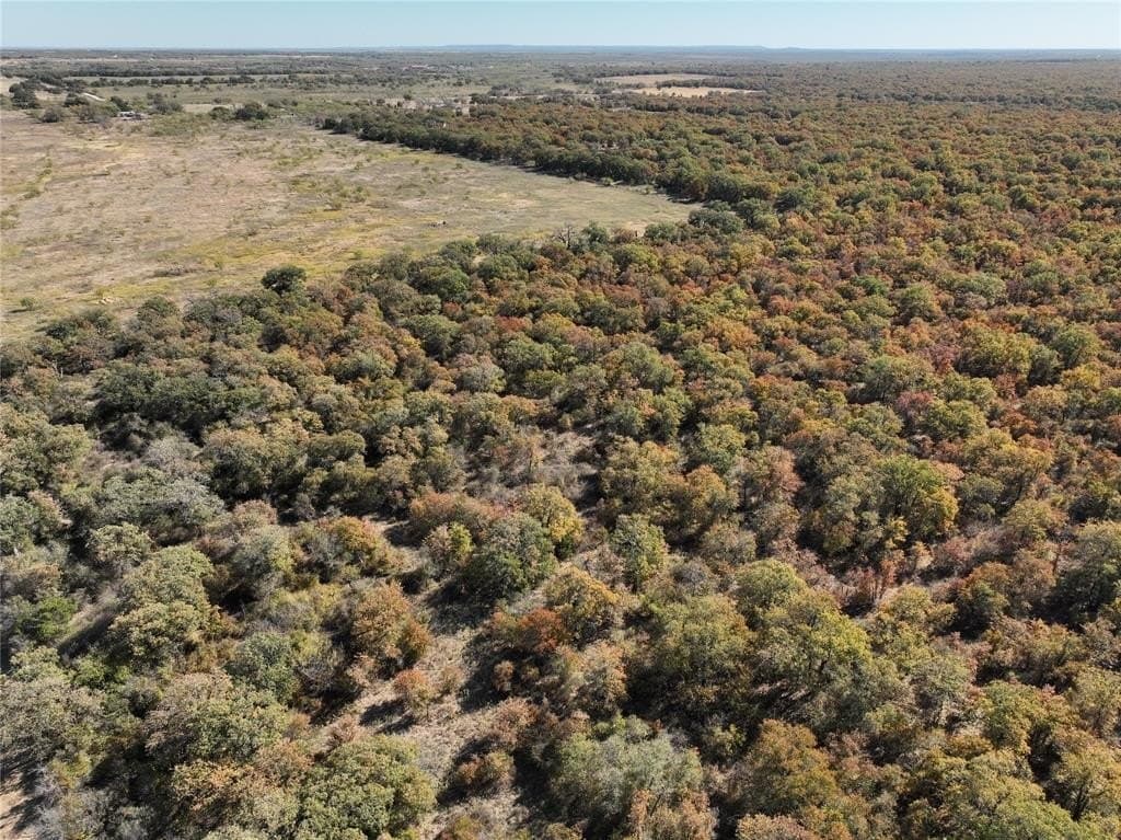 7.31 acres in Callahan County - photo 10