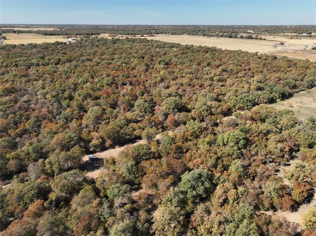 7.31 acres in Callahan County - photo 8