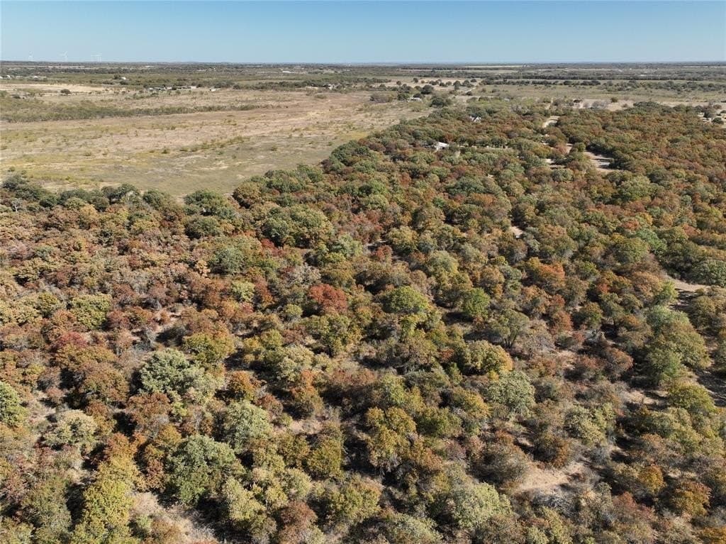 7.31 acres in Callahan County - photo 7