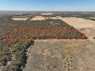7.31 acres in Callahan County - photo 3