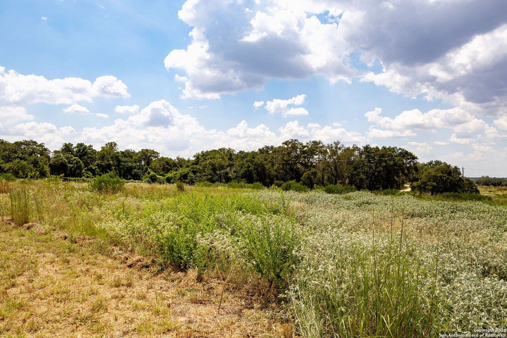 10 acres in Guadalupe County - photo 18