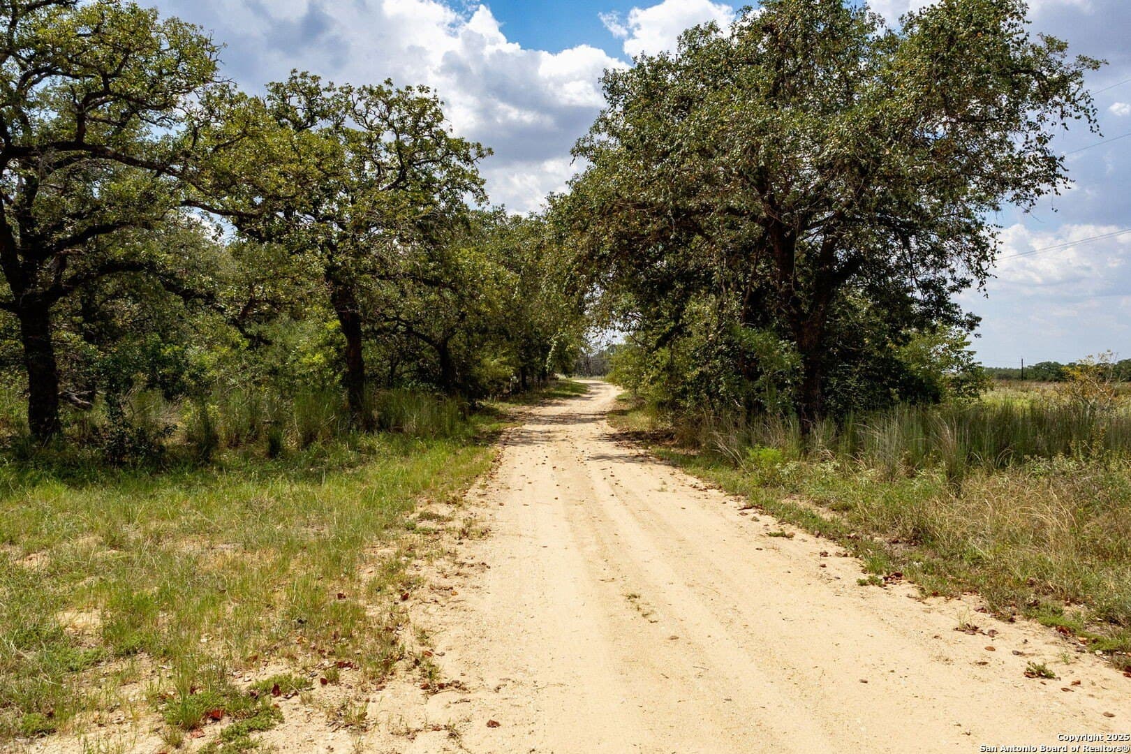10 acres in Guadalupe County - photo 19