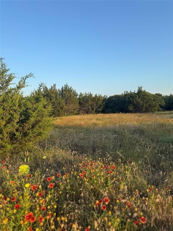 13.43 acres in Eastland County - photo 3