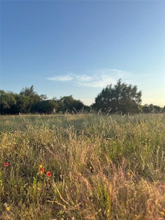 13.43 acres in Eastland County - photo 4