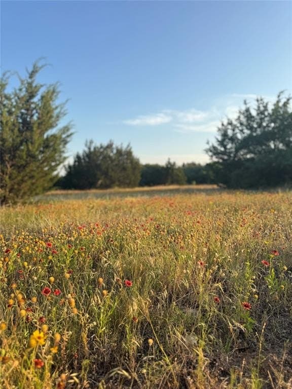 13.43 acres in Eastland County - photo 6