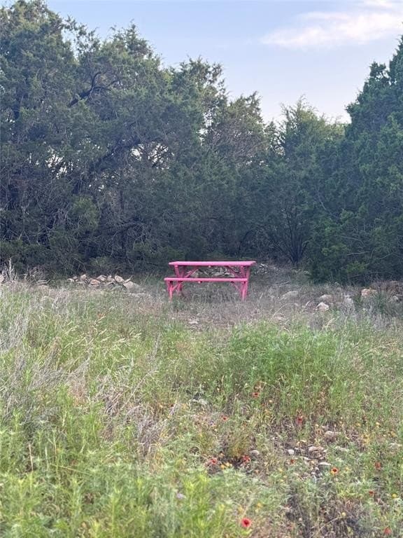 13.43 acres in Eastland County - photo 7