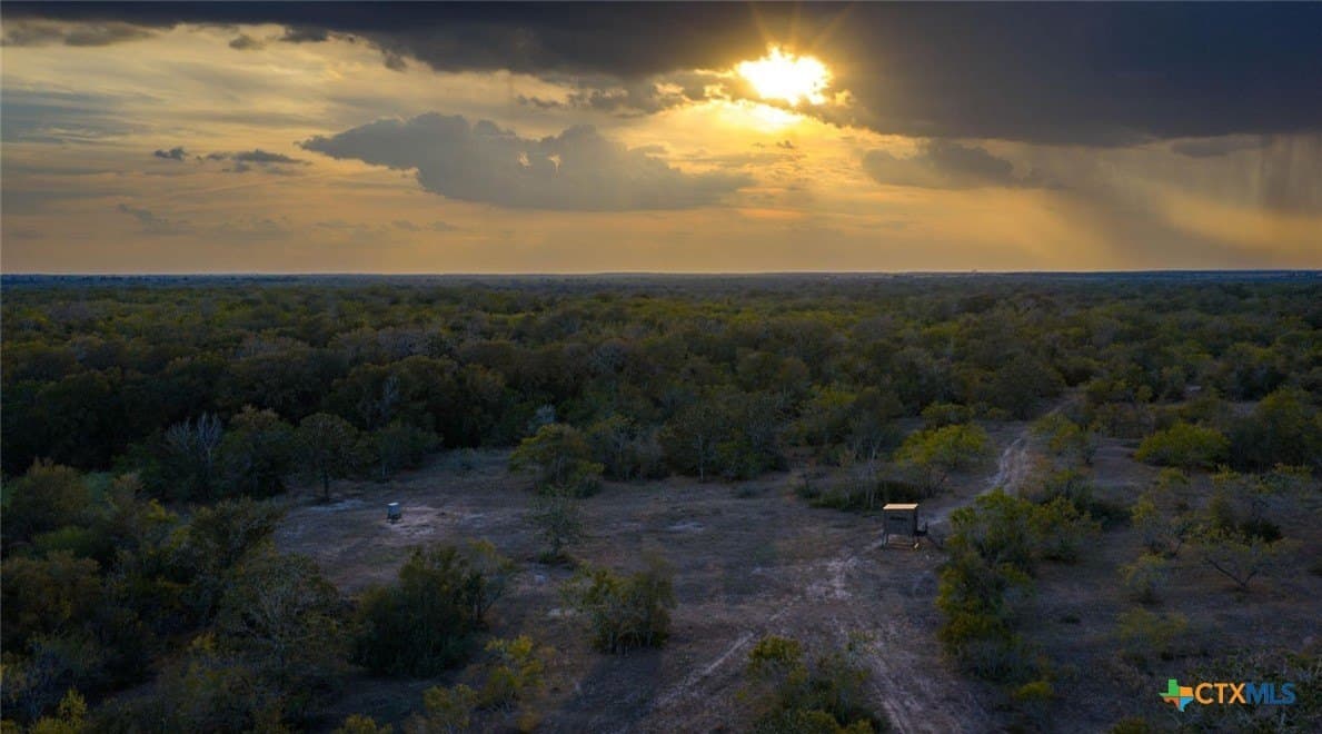 314 acres in Gonzales County - photo 5