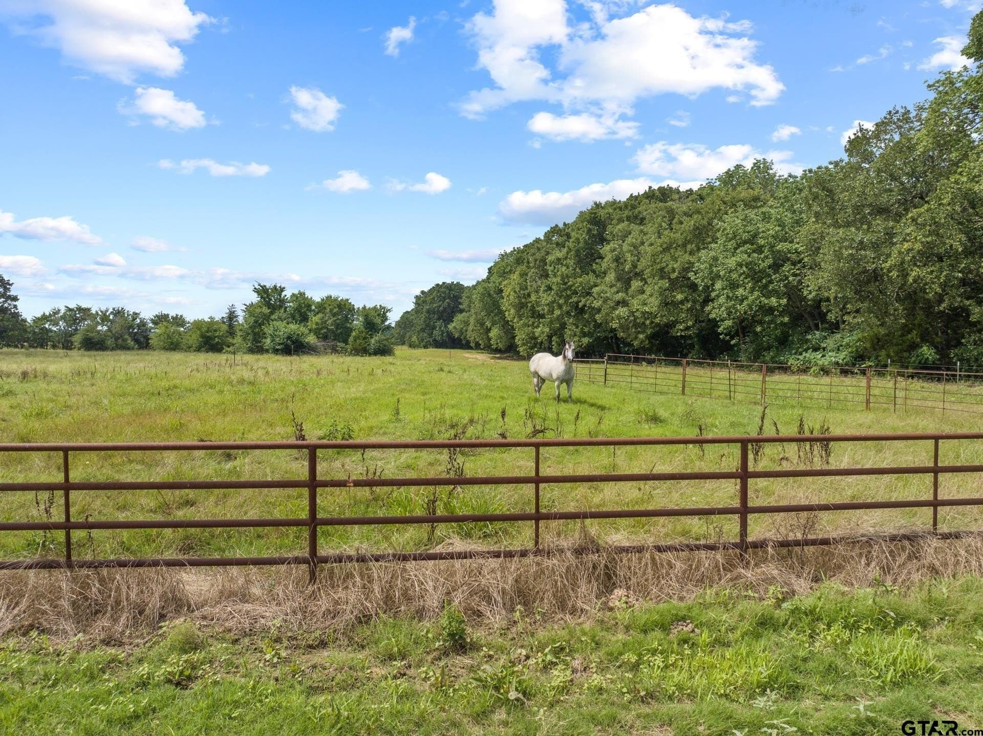 16 acres in Franklin County - photo 24