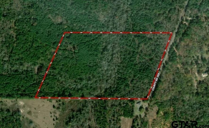 40 acres in Smith County - photo 2