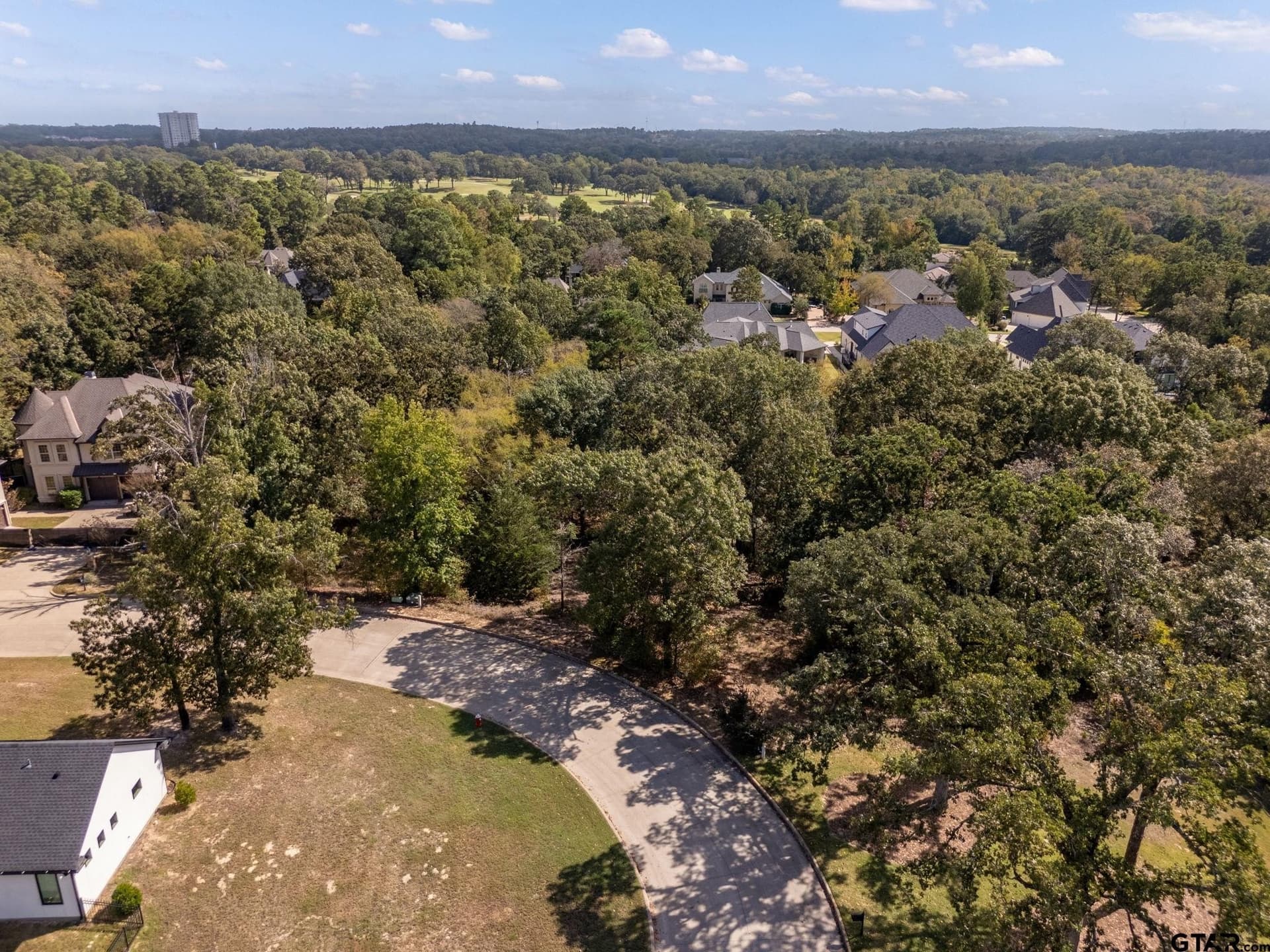 0.44 acres in Smith County - photo 3
