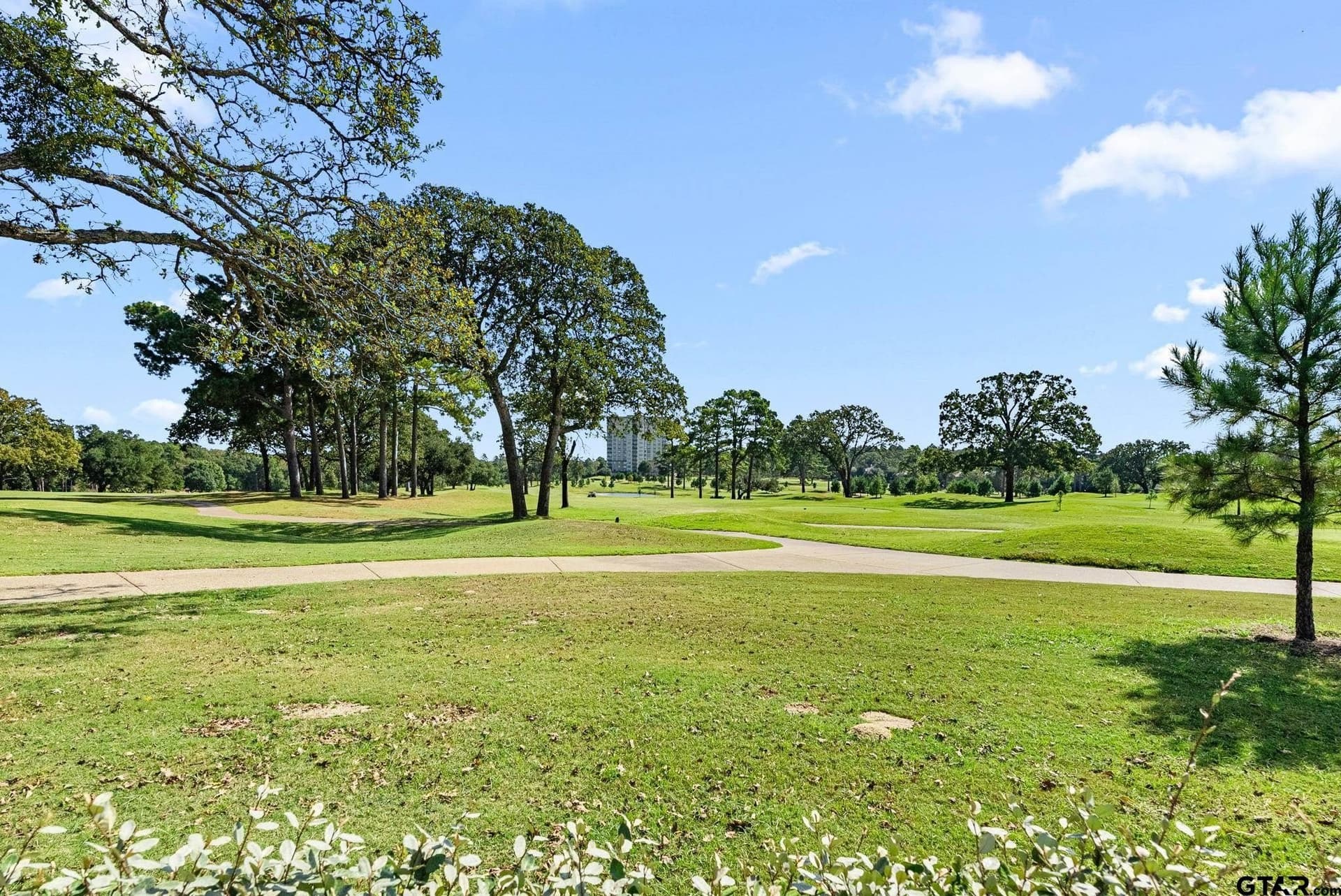 0.44 acres in Smith County - photo 8