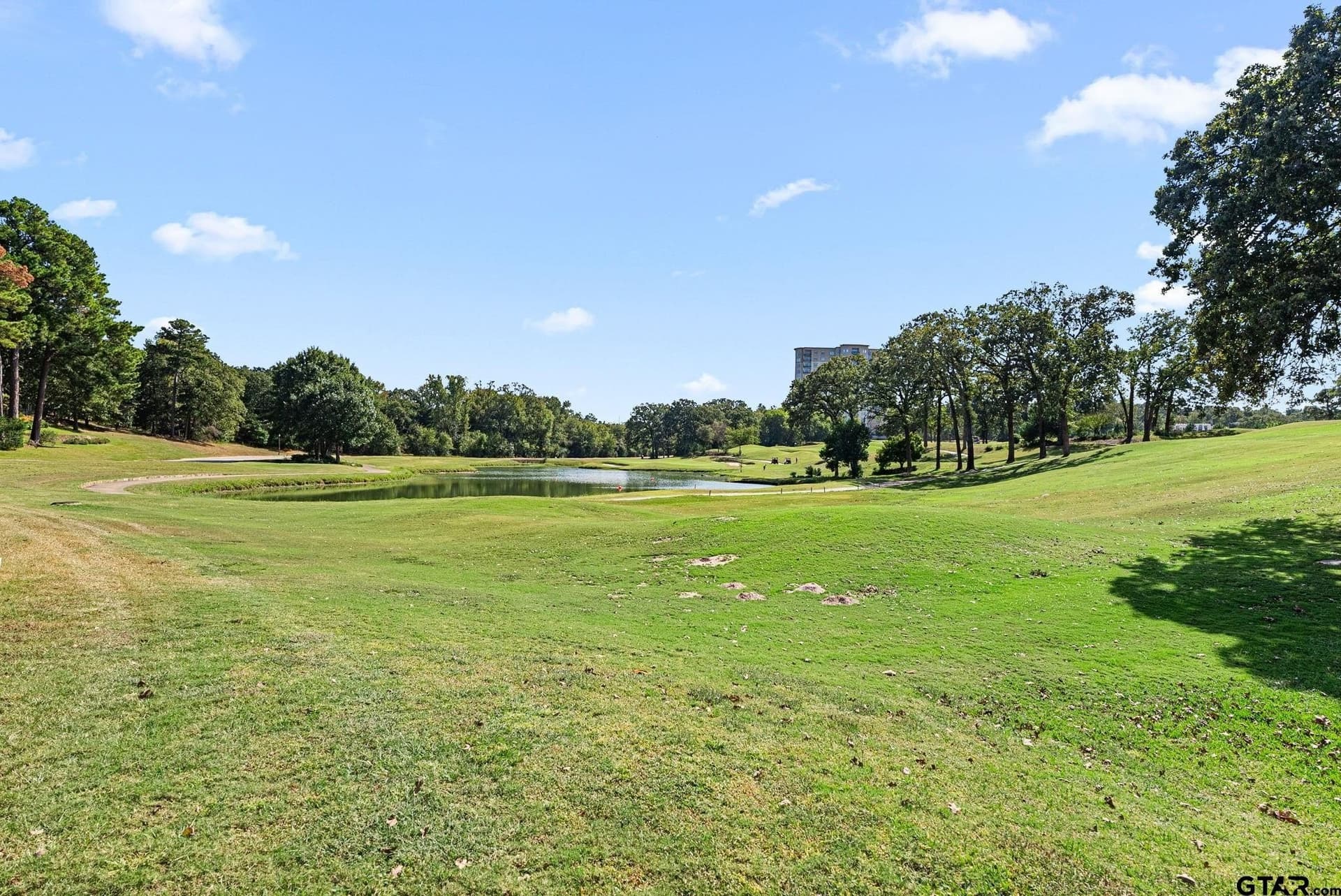 0.44 acres in Smith County - photo 7