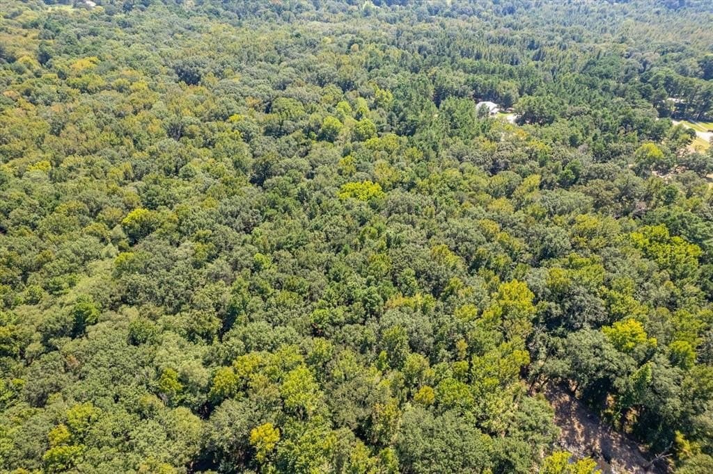 15 acres in Henderson County - photo 29