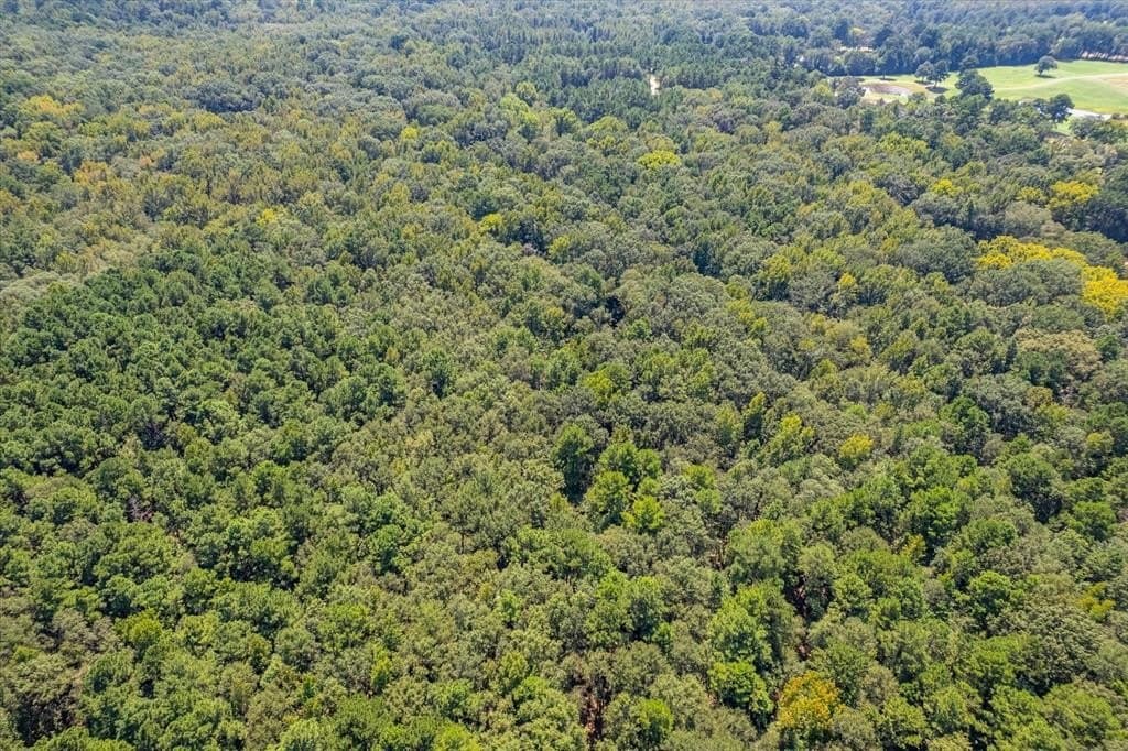15 acres in Henderson County - photo 30