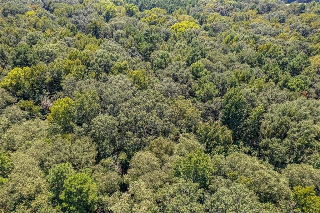 15 acres in Henderson County - photo 32