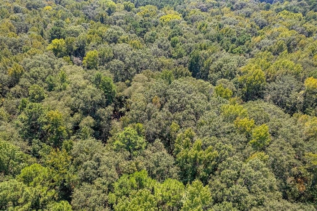 15 acres in Henderson County - photo 31