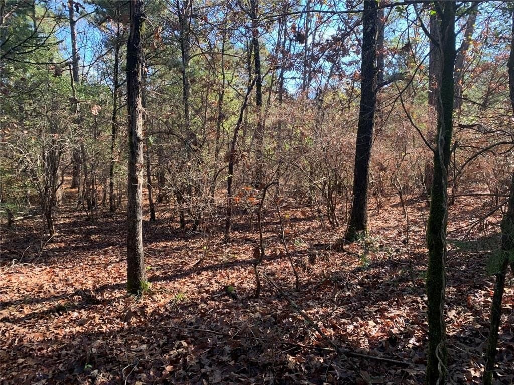 1.13 acres in Henderson County - photo 11