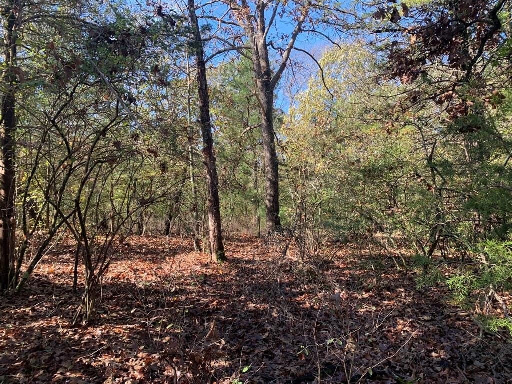1.13 acres in Henderson County - photo 5