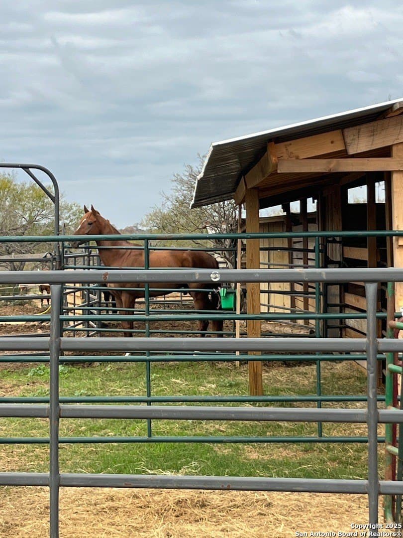 17.43 acres in Bexar County - photo 7