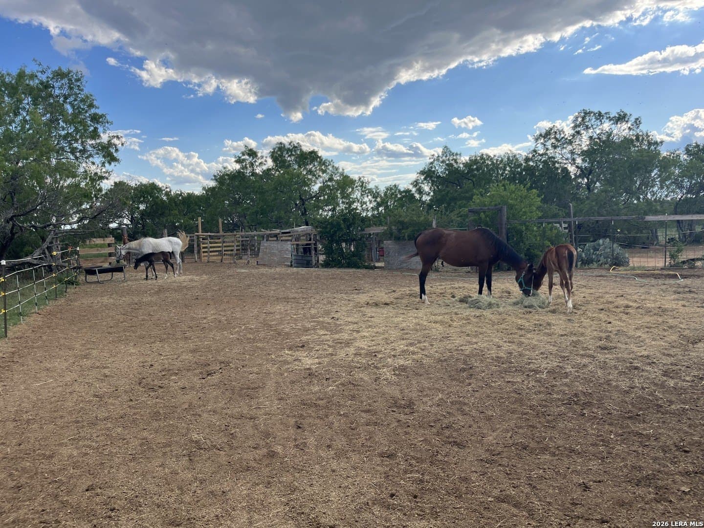 17.43 acres in Bexar County - photo 17