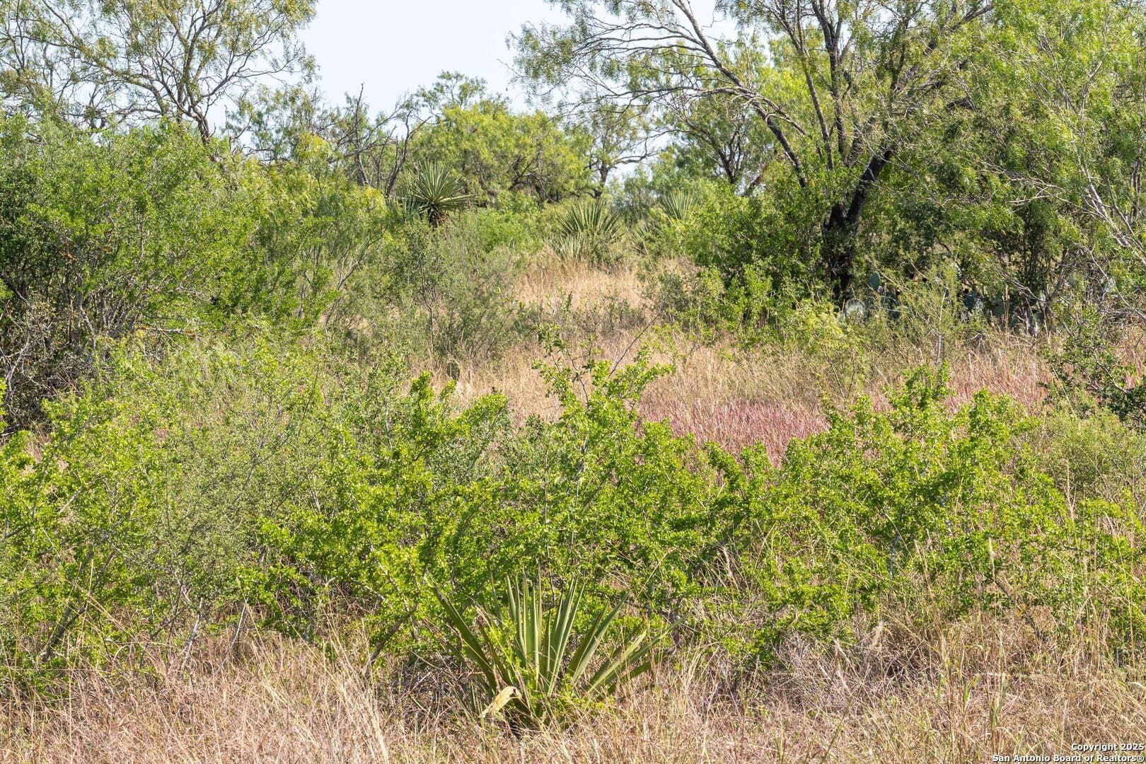 17.43 acres in Bexar County - photo 15