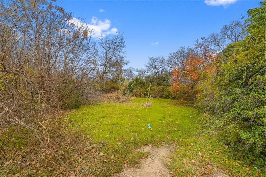 0.11 acres in Dallas County - photo 2