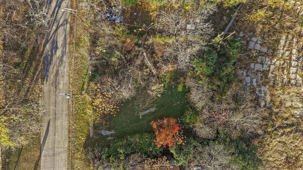 0.11 acres in Dallas County - photo 9