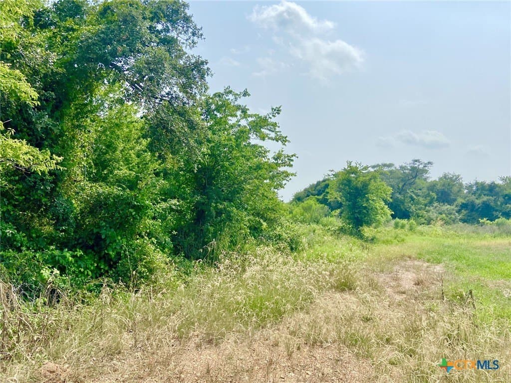 19.5 acres in Jackson County - photo 5