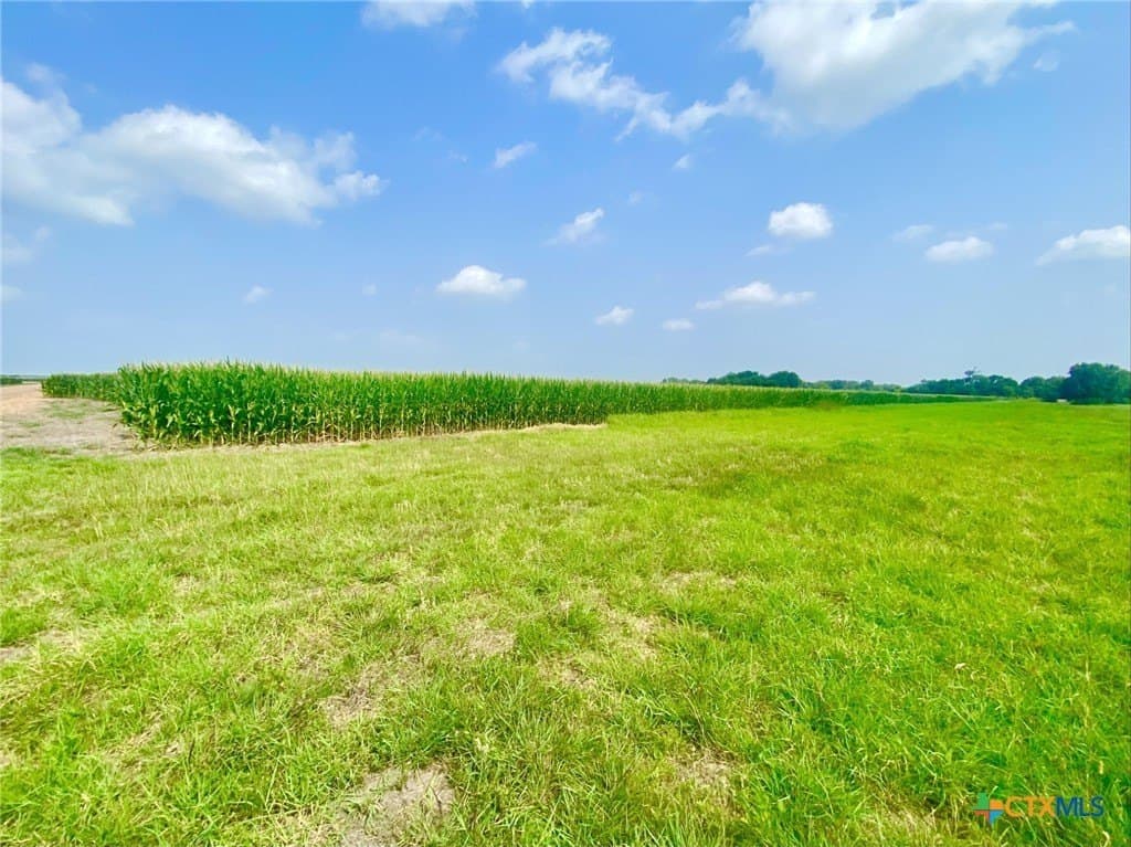 19.5 acres in Jackson County - photo 7