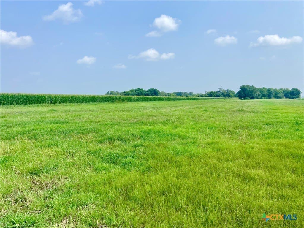 19.5 acres in Jackson County - photo 6
