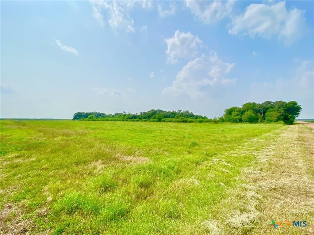 19.5 acres in Jackson County - photo 8