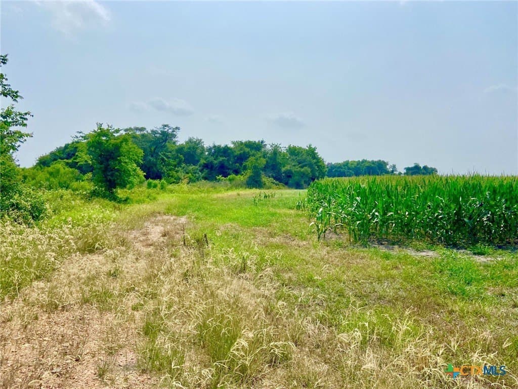 19.5 acres in Jackson County - photo 4