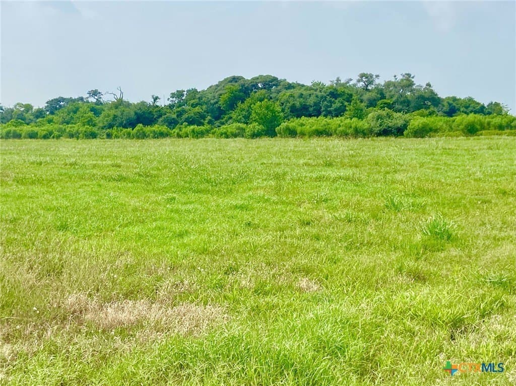 19.5 acres in Jackson County - photo 2