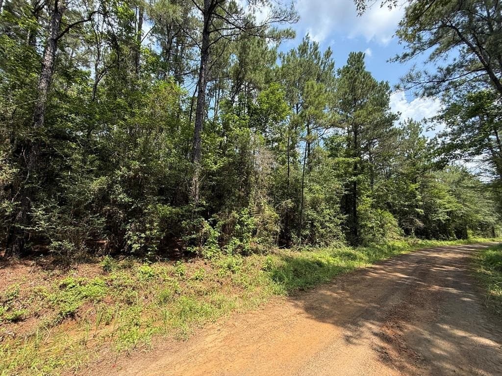60 acres in Texas County - photo 13