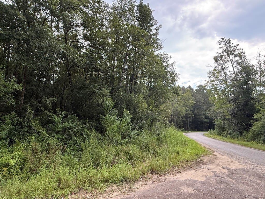 60 acres in Texas County - photo 20