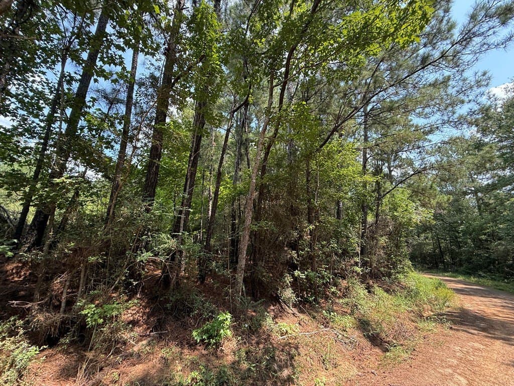 60 acres in Texas County - photo 9