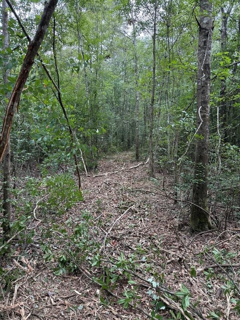 60 acres in Texas County - photo 25