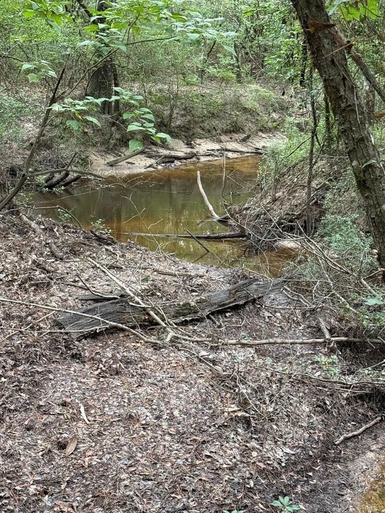 60 acres in Texas County - photo 21