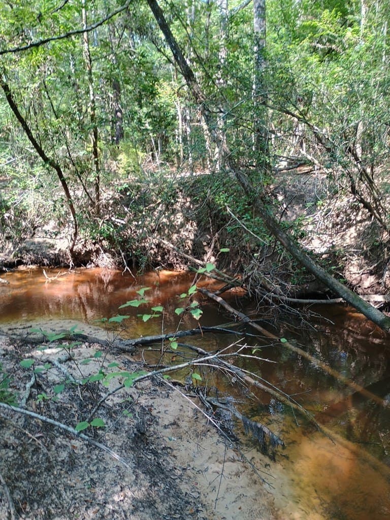 60 acres in Texas County - photo 17