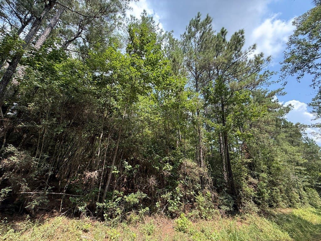 60 acres in Texas County - photo 11