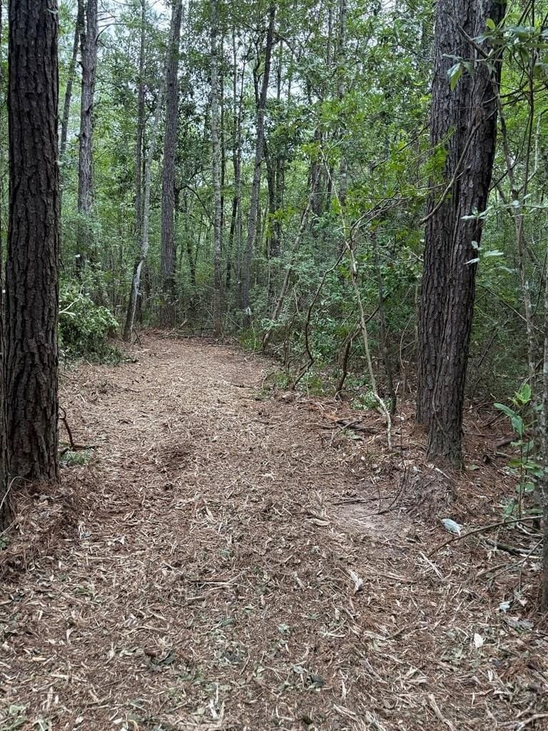 60 acres in Texas County - photo 23