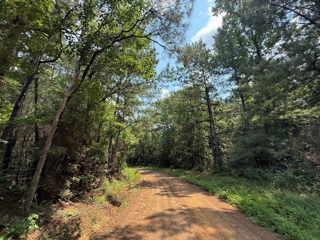 60 acres in Texas County - photo 8