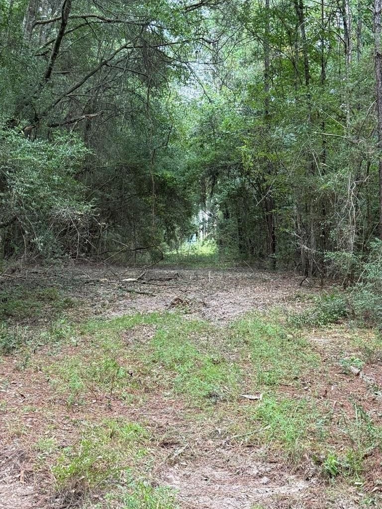 60 acres in Texas County - photo 22